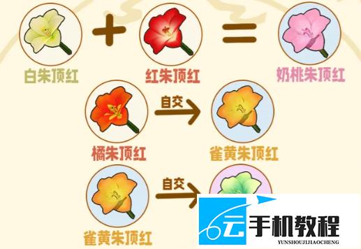 星布谷地花卉杂交培育 六类花种来源与配方