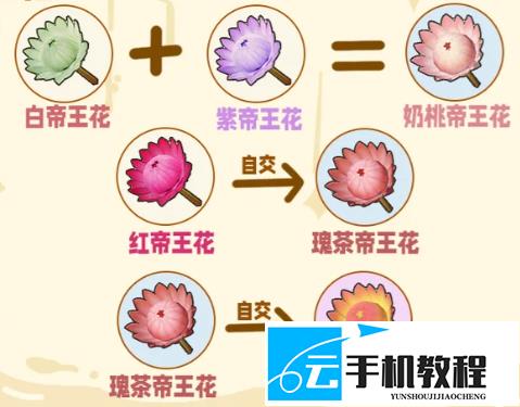 星布谷地花卉杂交培育 六类花种来源与配方