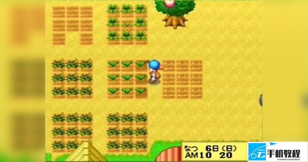 牧场物语精灵驿站 村民生日节庆时间表