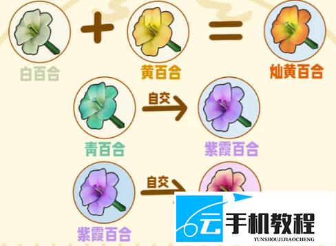 星布谷地花卉杂交培育 六类花种来源与配方
