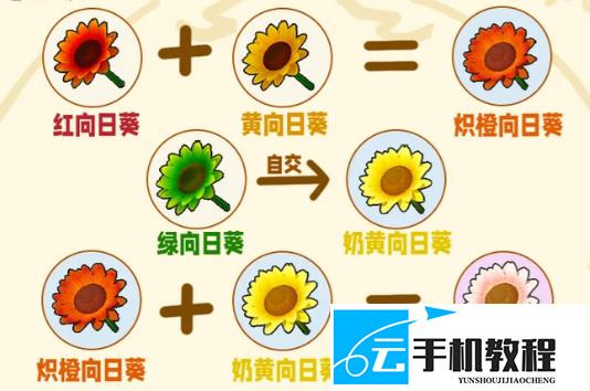 星布谷地花卉杂交培育 六类花种来源与配方