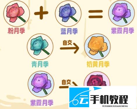 星布谷地花卉杂交培育 六类花种来源与配方
