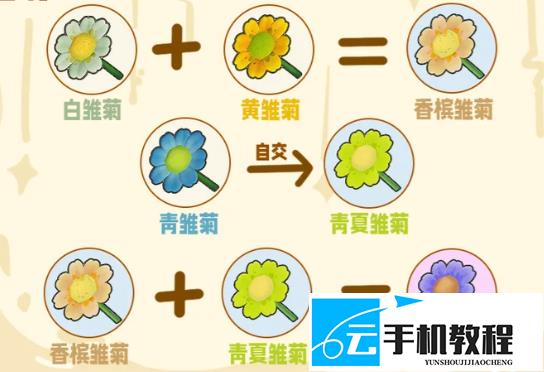 星布谷地花卉杂交培育 六类花种来源与配方