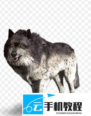 巫师3重制版 怪物弱点攻略