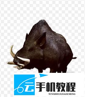 巫师3重制版 怪物弱点攻略