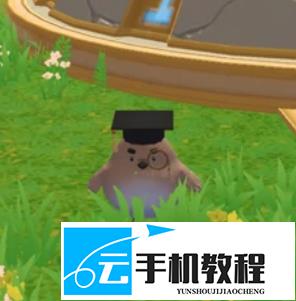 创造与魔法刀盾狗香蕉猫获取 奇遇皮肤激活指南