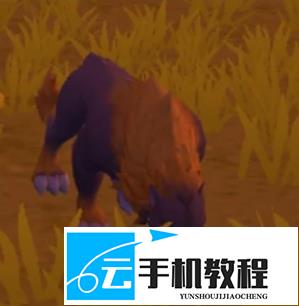 创造与魔法刀盾狗香蕉猫获取 奇遇皮肤激活指南