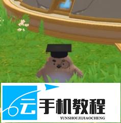 创造与魔法刀盾狗香蕉猫获取 奇遇皮肤激活指南