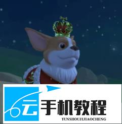 创造与魔法刀盾狗香蕉猫获取 奇遇皮肤激活指南
