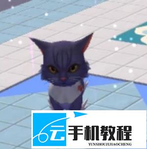 创造与魔法刀盾狗香蕉猫获取 奇遇皮肤激活指南
