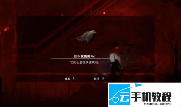 《银松镇》洞中生物喂食选择与缆车铃铛获取 攻略