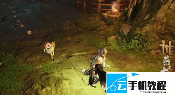 燕云十六声 青州奇遇玩法 溶洞委托触发攻略