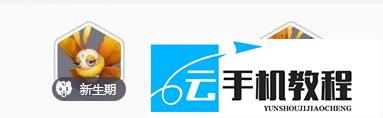 伊莫幻翼蝶技能 八项技能与四种形态