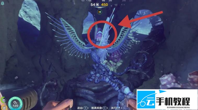 深海迷航2 天使栉节点清理位置坐标合集